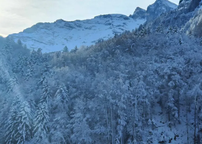 Apartamento Waldeg Engelberg