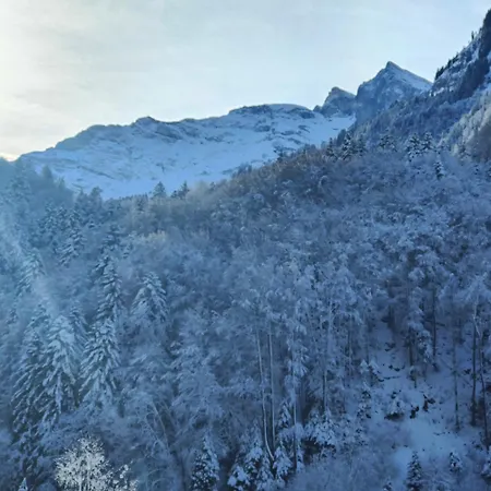 Appartamento Waldeg Engelberg